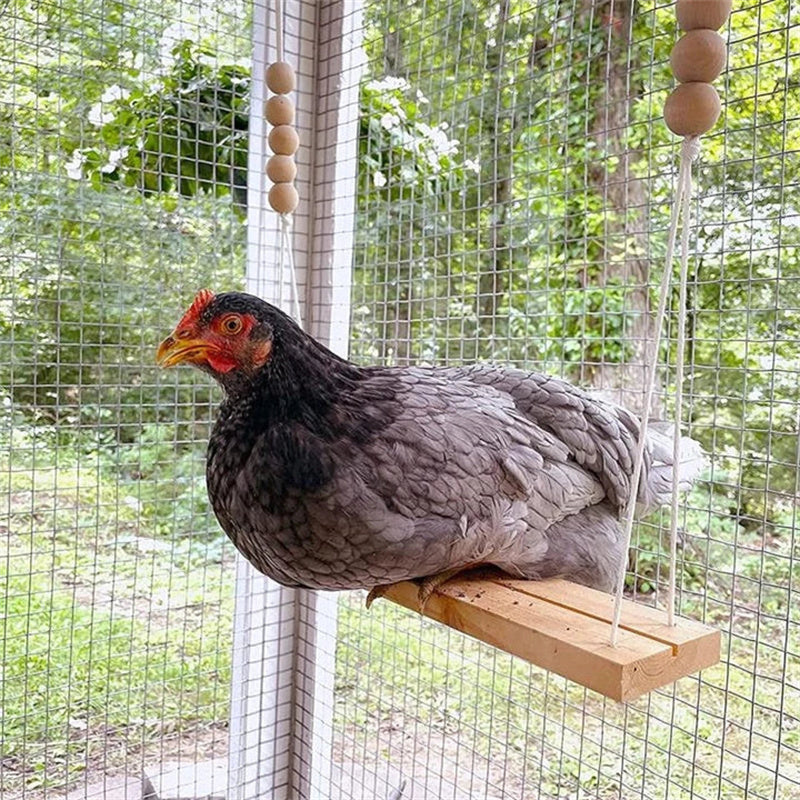 Kalsten | Chicken Swing Toy