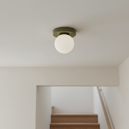 Frosted Glass Globe Wall & Ceiling Sconce