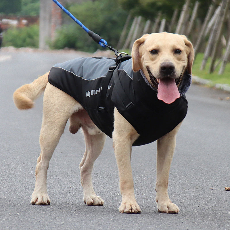Kalsten | Waterproof Winter Dog Jackets