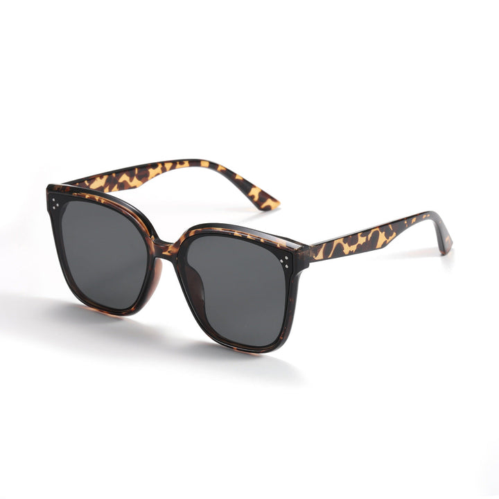 Women's fashionable sunglasses with transparent accent Kalsten