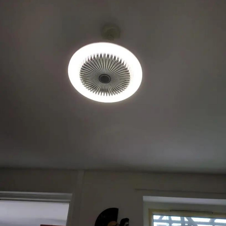 Aromatherapy Bulb Fan | Kalsten