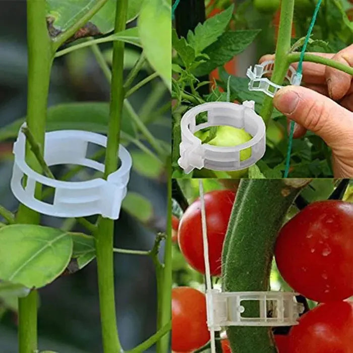 VitaGrip Clips — Strong hold for majestic plants that grow and thrive proudly | Kalsten