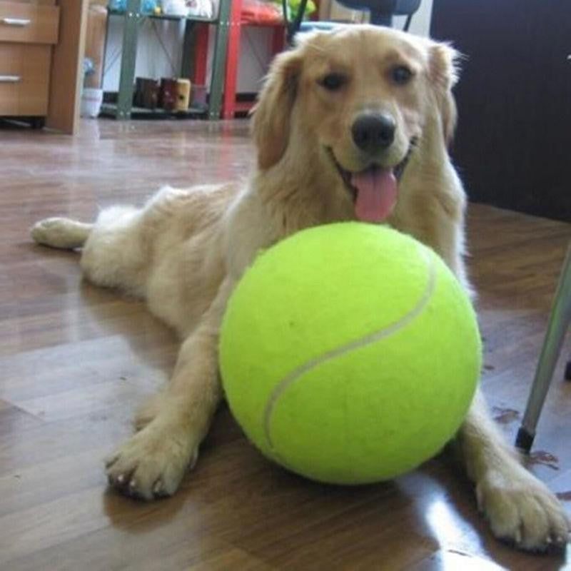 Giant Dog Tennis Ball Toy | Kalsten