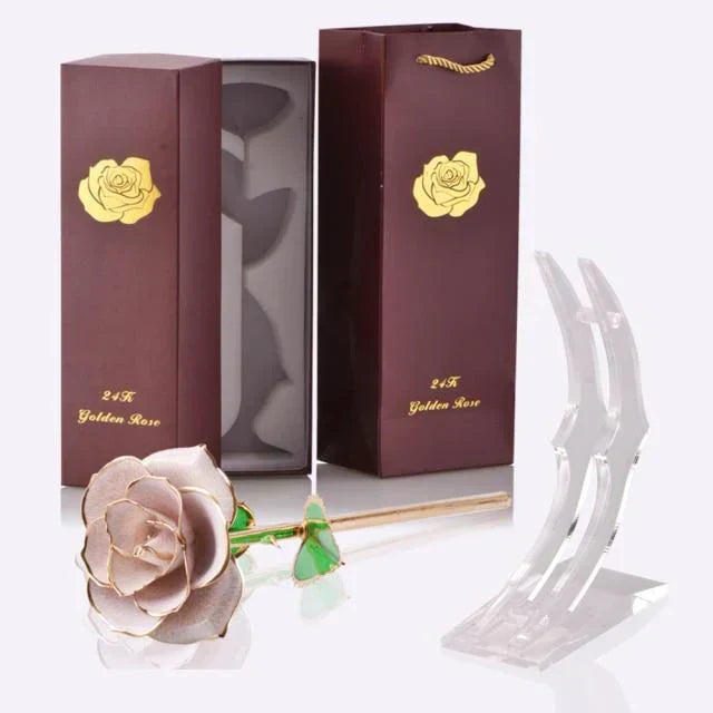 Kalsten | 24k Gold Dipped Eternal Rose