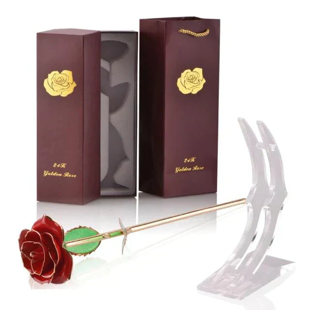 Kalsten | 24k Gold Dipped Eternal Rose