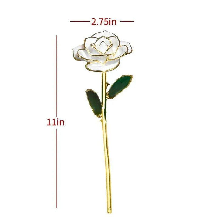 Kalsten | 24k Gold Dipped Eternal Rose