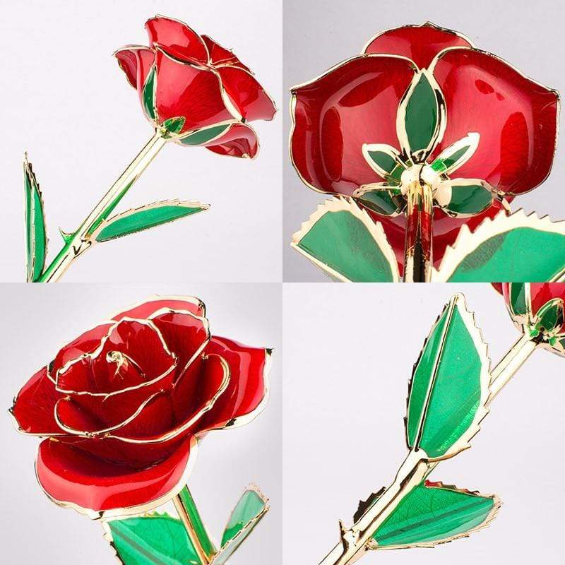 Kalsten | 24k Gold Dipped Eternal Rose