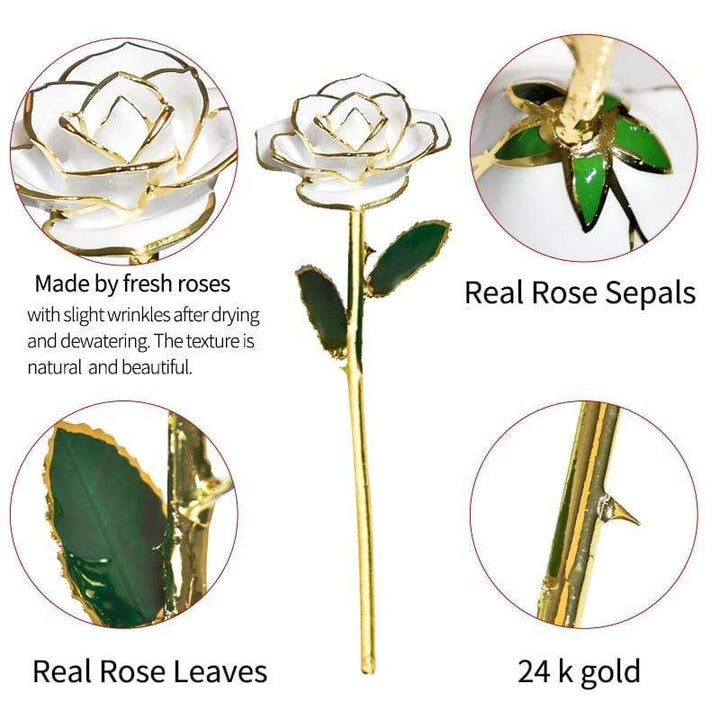 Kalsten | 24k Gold Dipped Eternal Rose