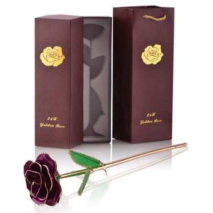 Skanto | 24k Gold-Dipped Eternal Rose