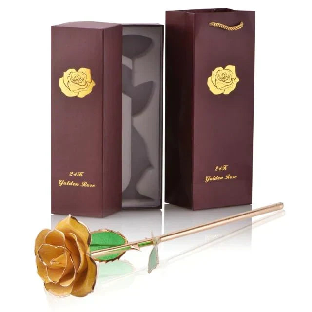 Kalsten | 24k Gold Dipped Eternal Rose