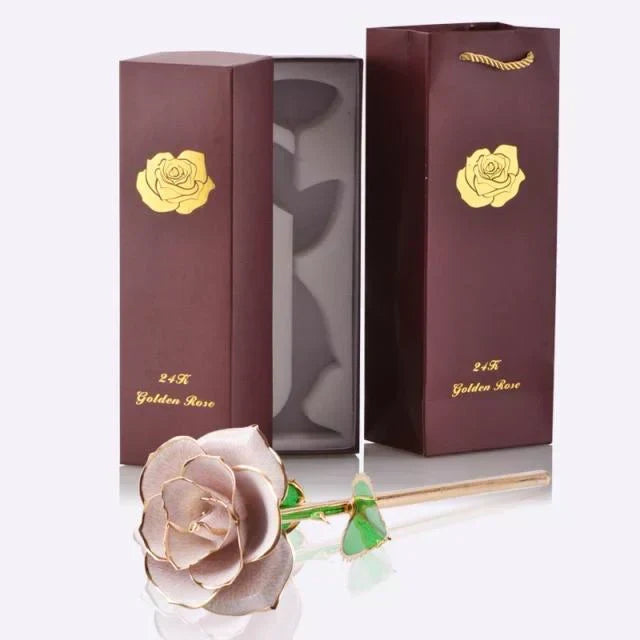 Kalsten | 24k Gold Dipped Eternal Rose