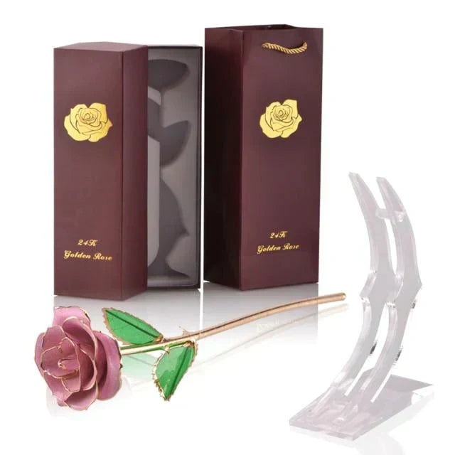 Kalsten | 24k Gold Dipped Eternal Rose