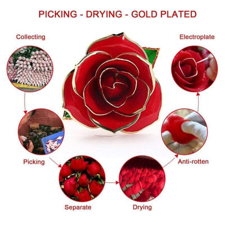 Kalsten | 24k Gold Dipped Eternal Rose