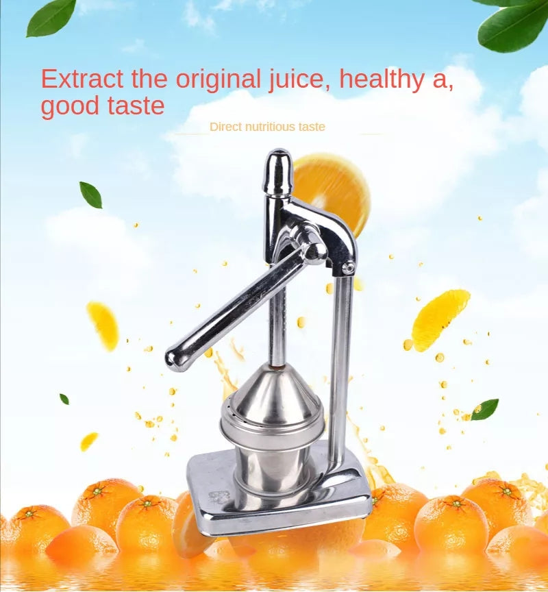 Kalsten | Stainless Steel Fruit Juicer