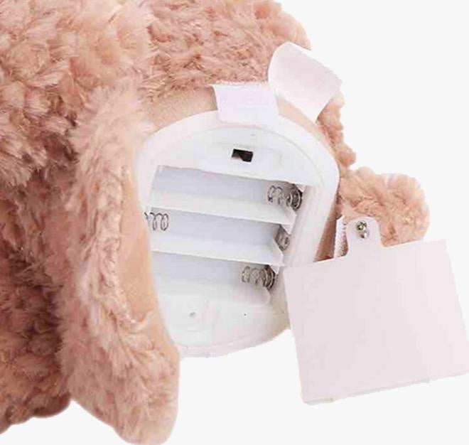 Peek-A-Boo Bear | Kalsten