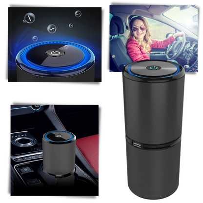 Ionic Air Purifier