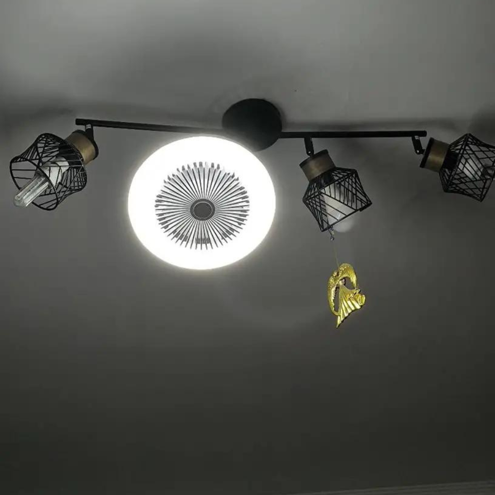 Aromatherapy Bulb Fan | Kalsten