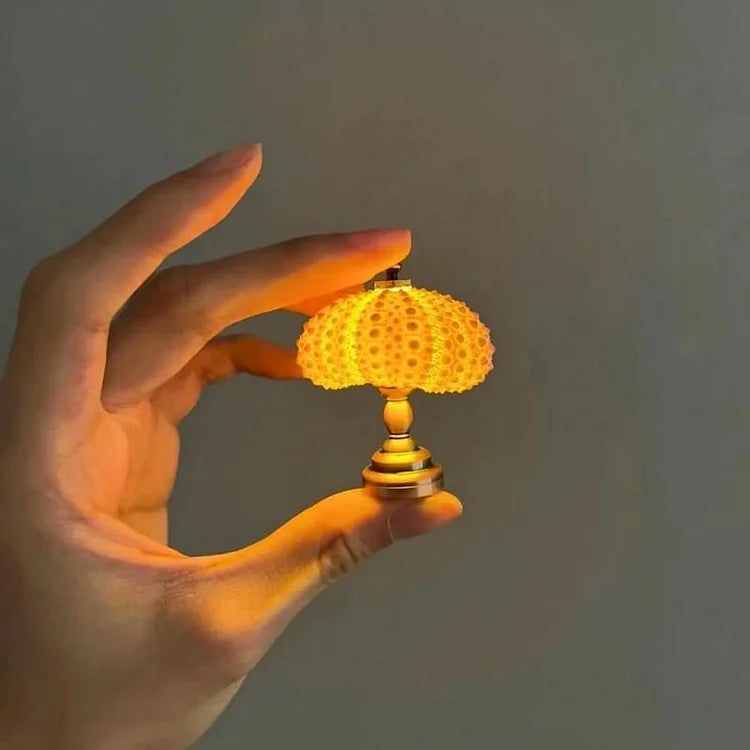 Kalsten | LumiCraft – Unique DIY table lamp with natural sea shell for a cozy décor