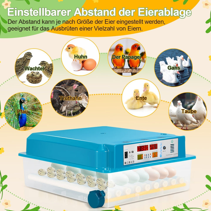 Brutautomat Fully Automatic Incubator for Chickens 64 Eggs | Kalsten