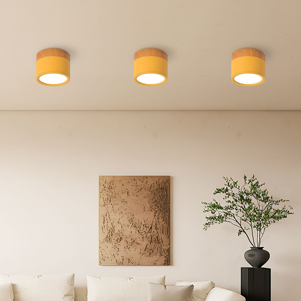 Kalsten | LED Ceiling Light Modern Flush Mount Cylinder