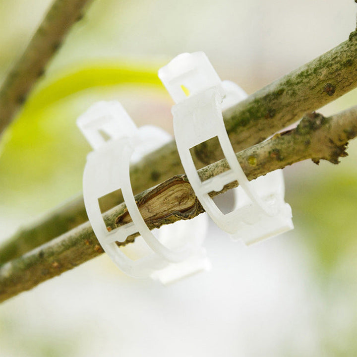 Plant support clips | Kalsten