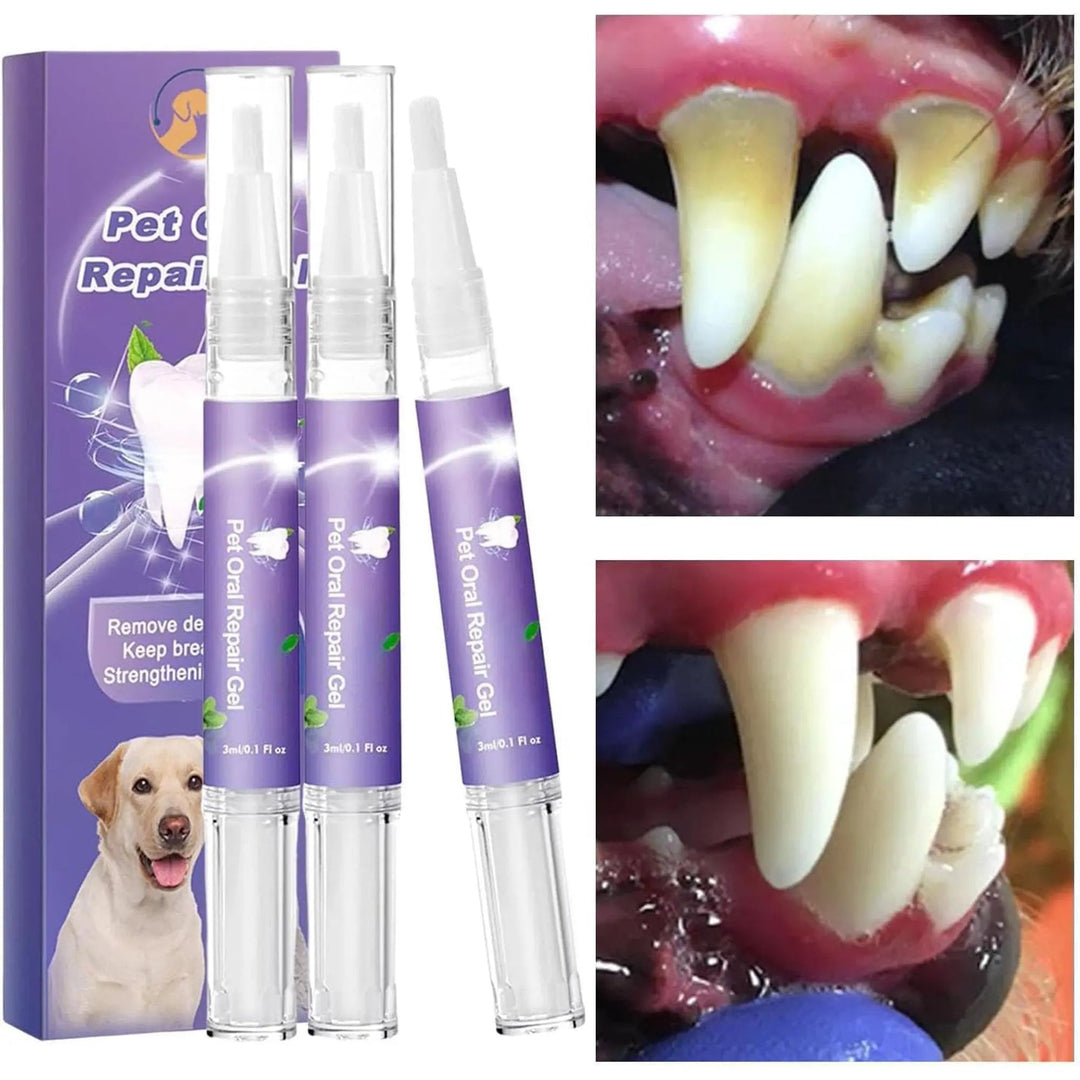 Kalsten | Oral Restoration Gel for Pets