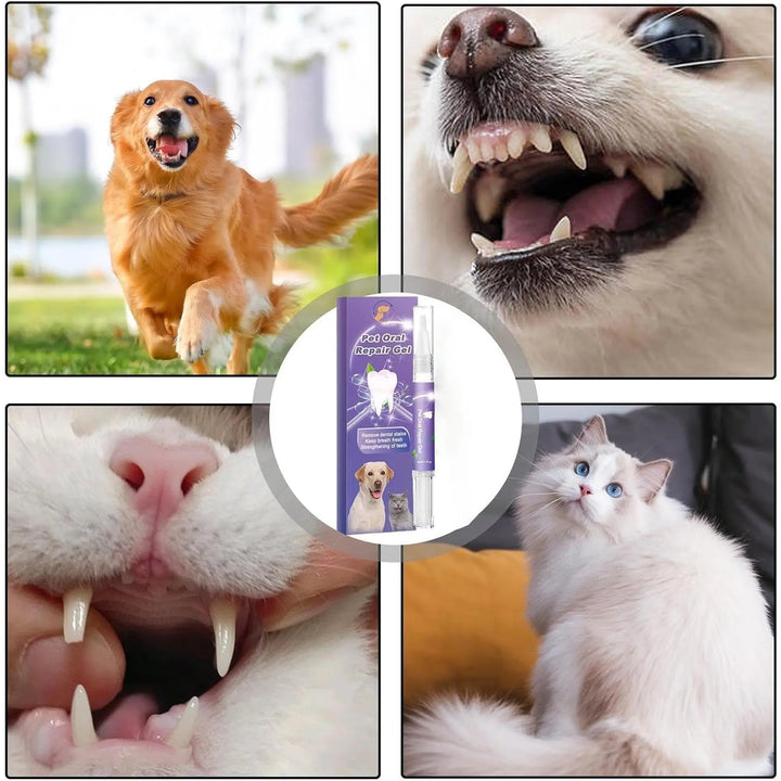 Kalsten | Oral Restoration Gel for Pets
