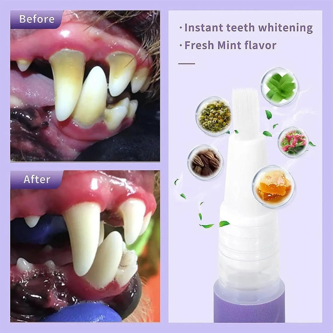 Kalsten | Oral Restoration Gel for Pets