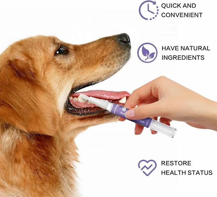 Kalsten | Oral Restoration Gel for Pets