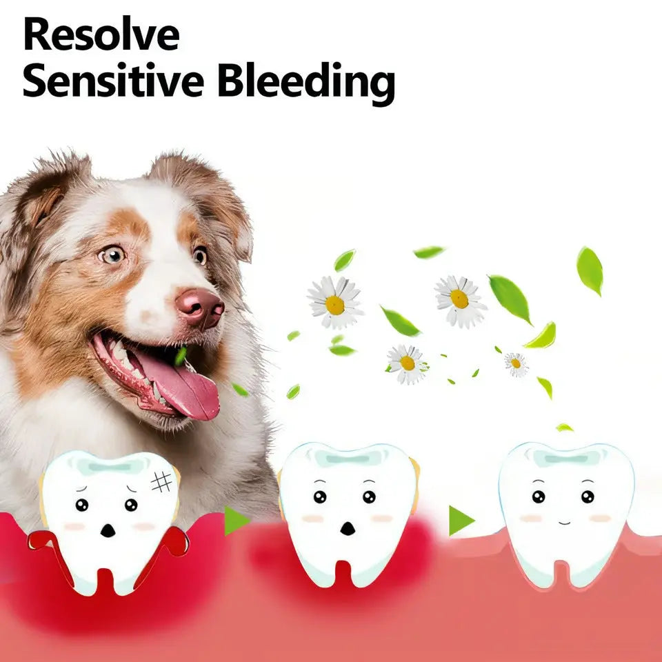 Kalsten | Oral Restoration Gel for Pets