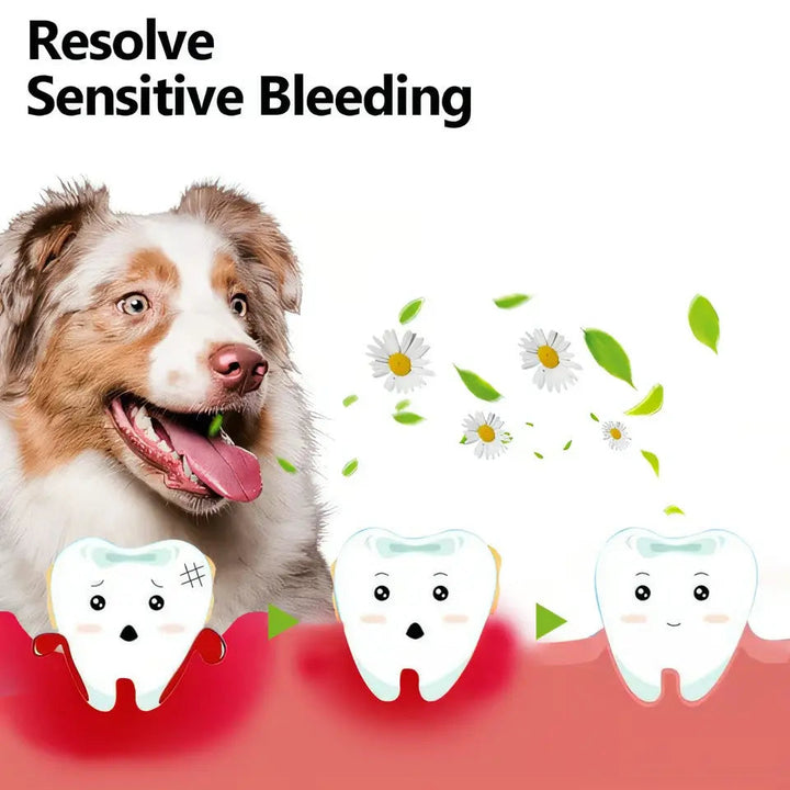Kalsten | Oral Restoration Gel for Pets