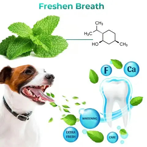 Kalsten | Oral Restoration Gel for Pets