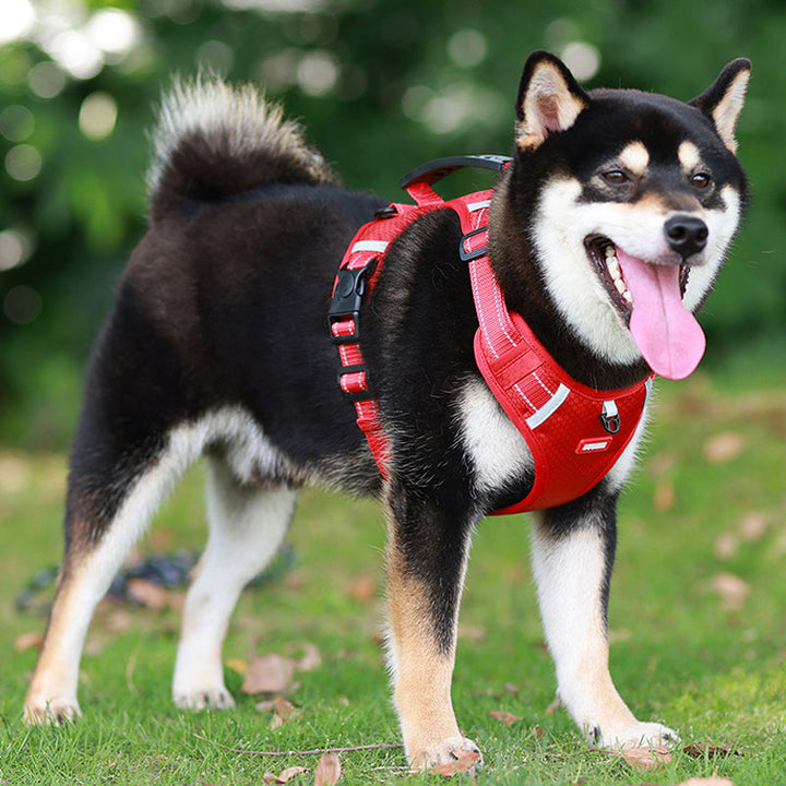 Reflective Dog Harness | Kalsten