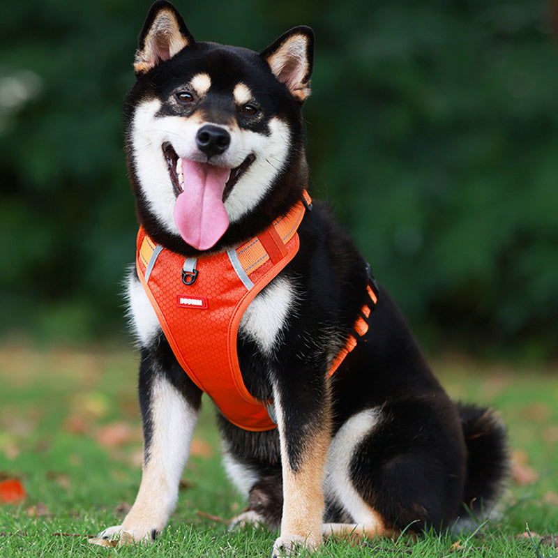 Reflective Dog Harness | Kalsten