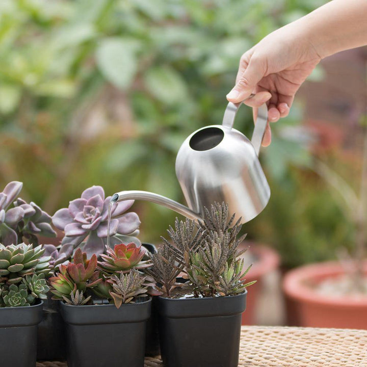 Kalsten | Stainless Steel Watering Can with Flexible Neck | Modern Design | Perfect Watering | Rustproof
