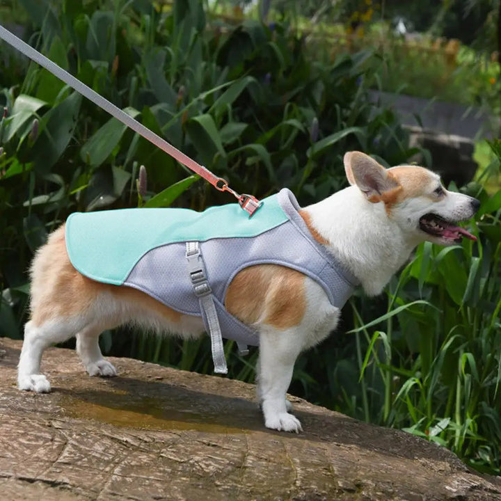 Dog Cooling Vest for Outdoor Activities | Kalsten