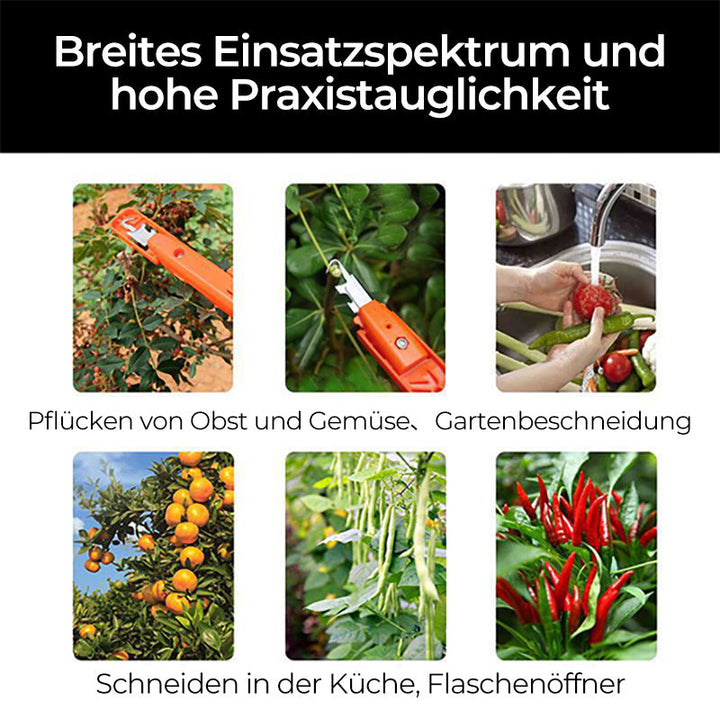 Efficient Pepper Picking Tools | Kalsten
