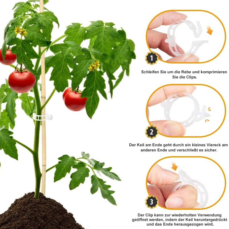 Practical Plant Support Clip | Kalsten
