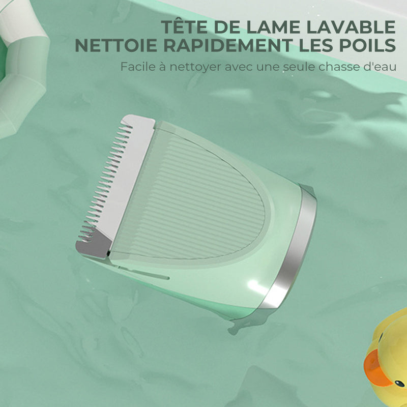 Pet Razor | Kalsten