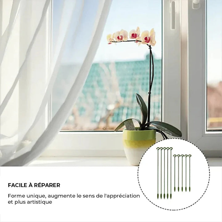 Plant support pole | Kalsten