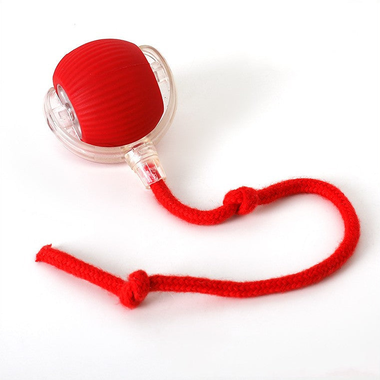 Skanto Active Rolling Ball with Tail for Dogs Skanto