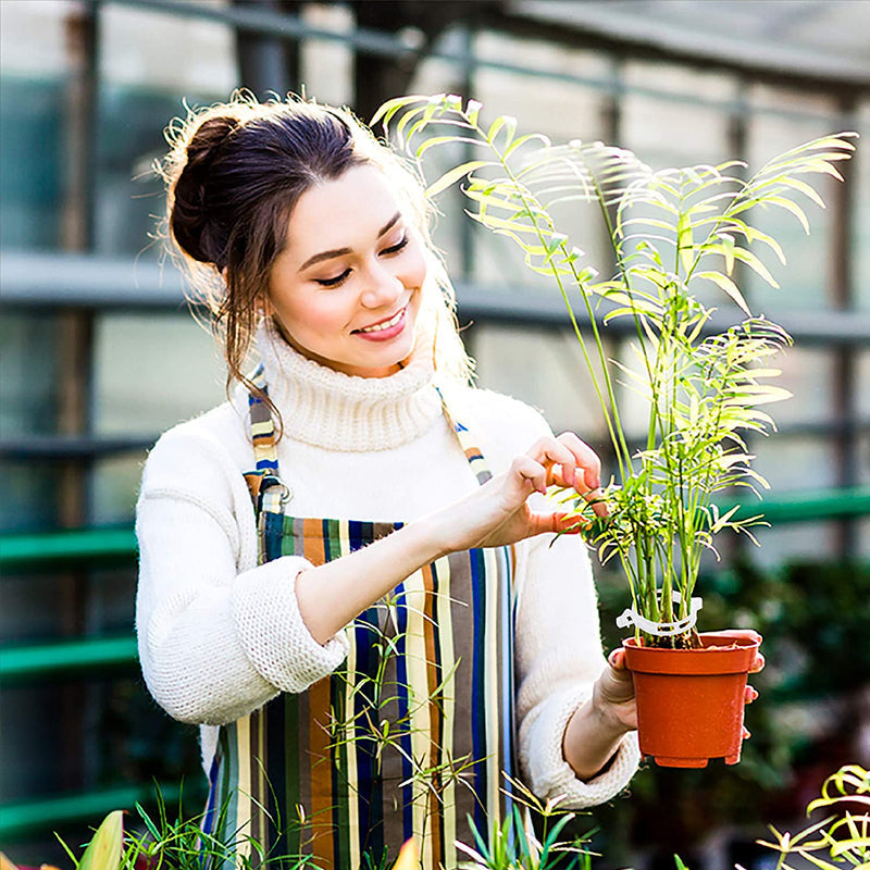 Plastic ring for holding plants | Kalsten