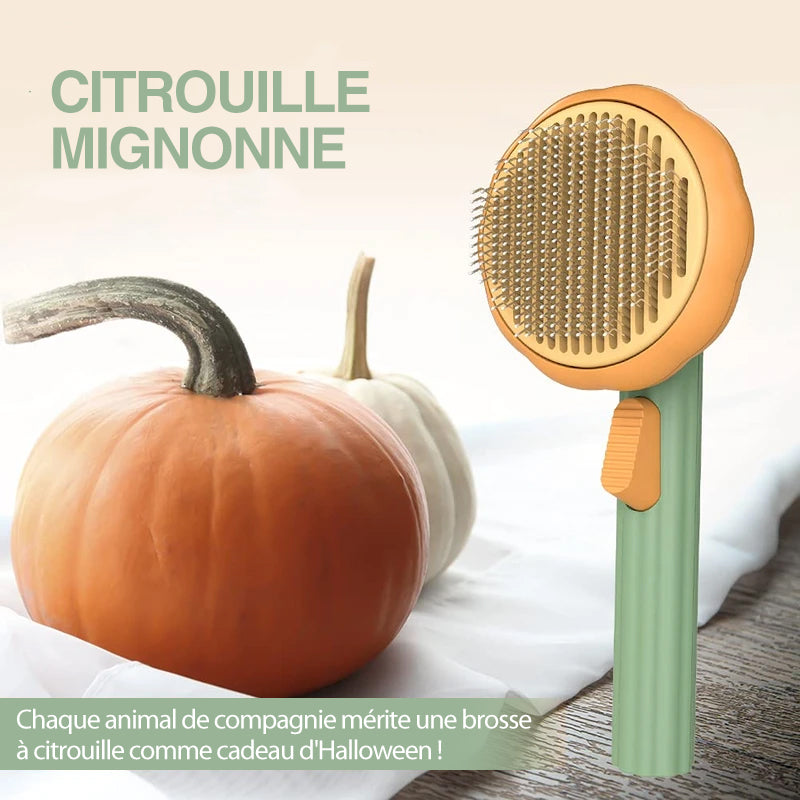 Pumpkin Comb Brush for Pets | Kalsten