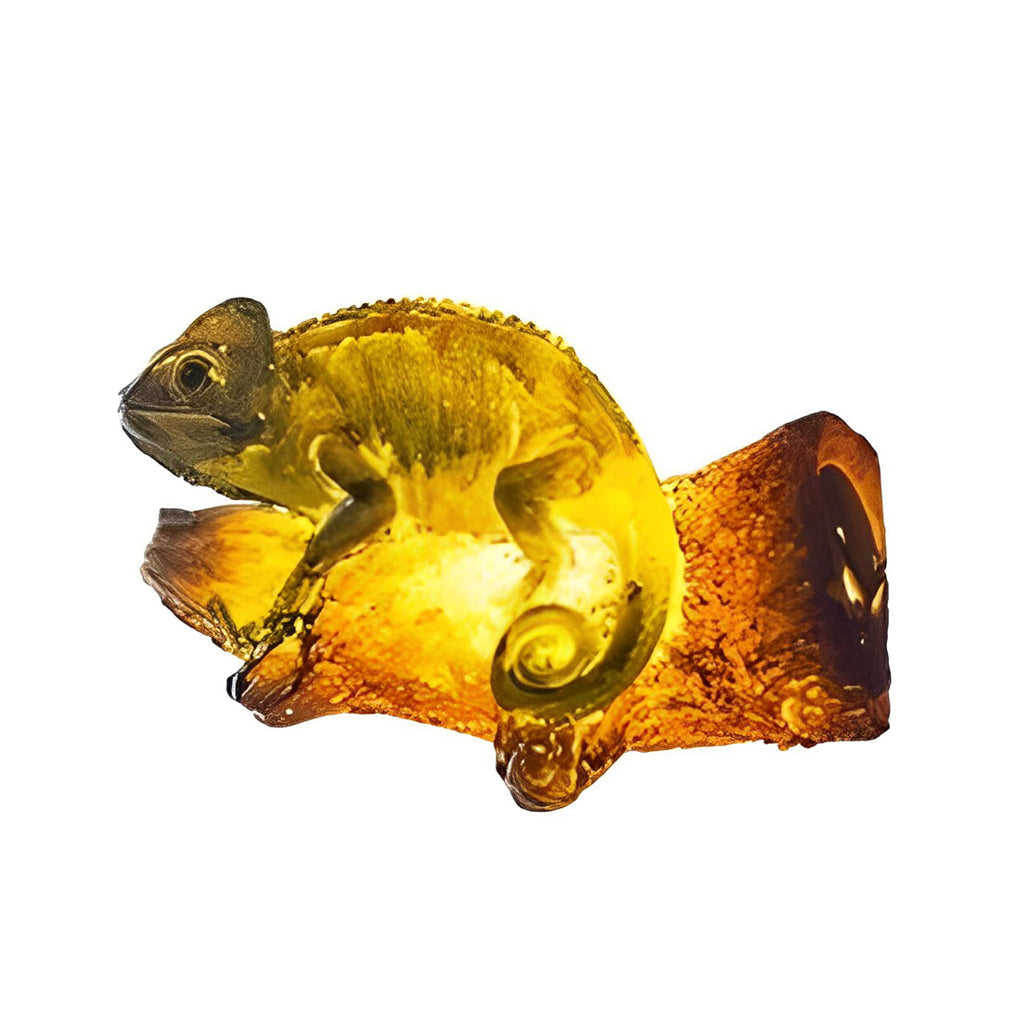 Resin Simulation Animal Parrot Shape 24V LED Waterproof Outdoor Lights | Kalsten