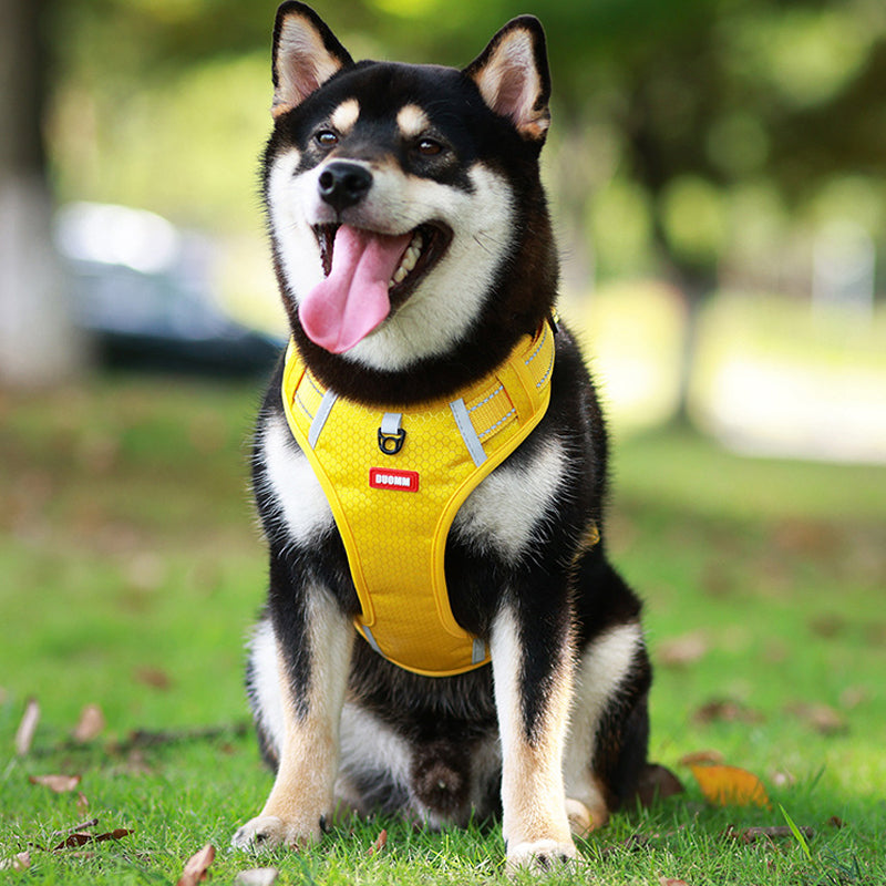 Reflective Dog Harness | Kalsten