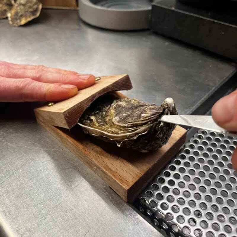 Oyster opening clamp