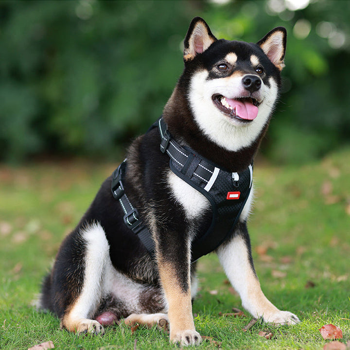 Kalsten | Reflective Dog Harness