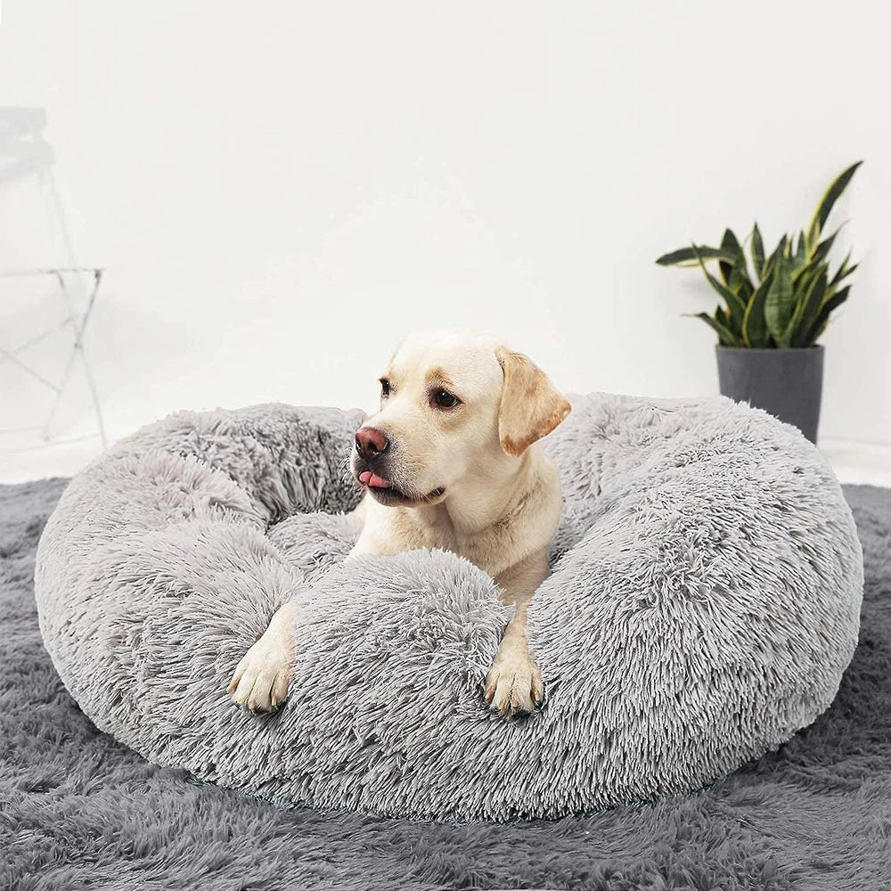 Premium Dog Bed Kalsten