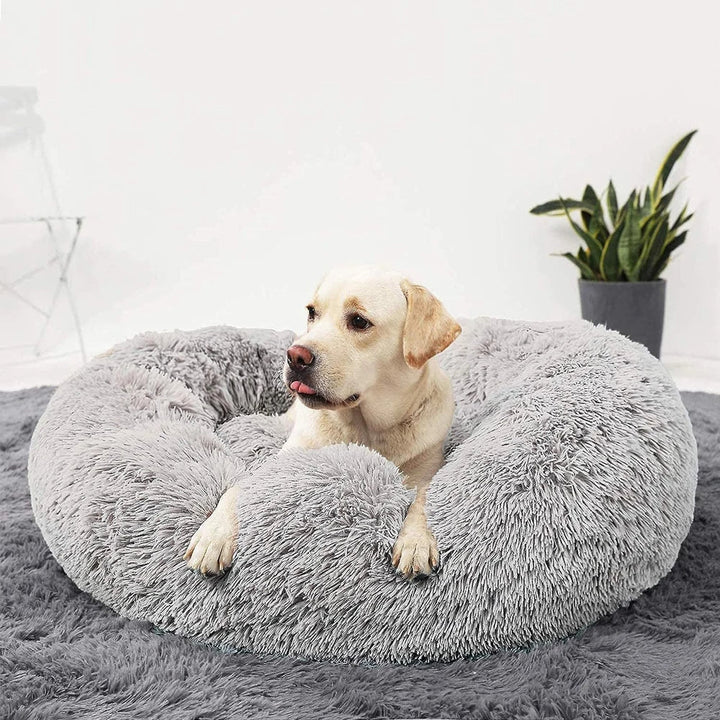 Premium Dog Bed Kalsten
