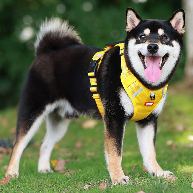 Reflective Dog Harness | Kalsten